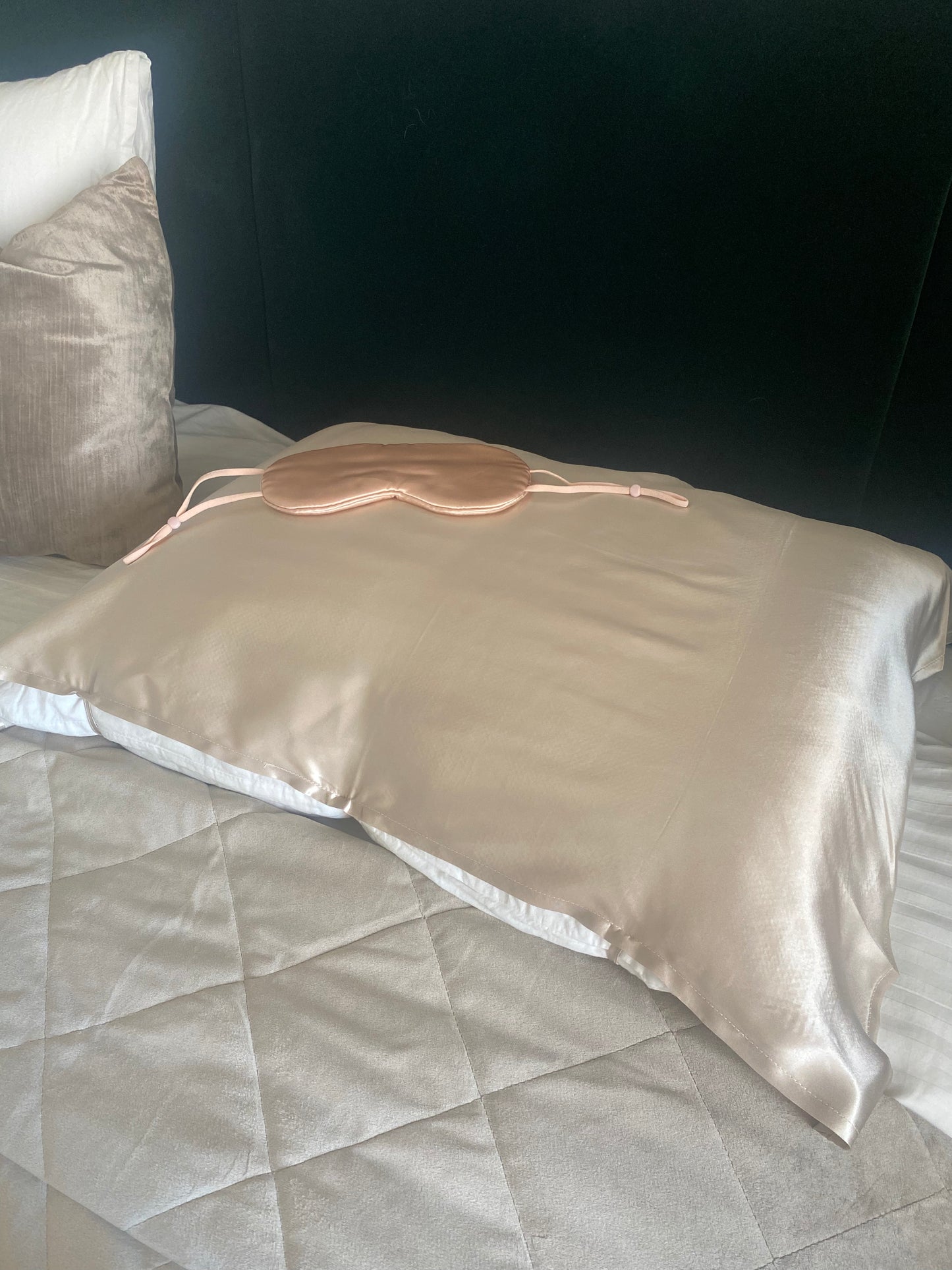 Genuine Mulberry Silk Pillow case